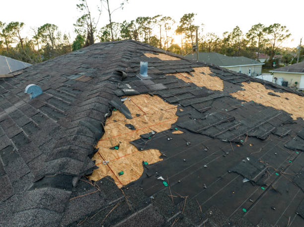 Clermont, FL Roofing Service Company