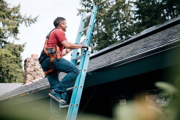 Best Roofing for New Construction  in Clermont, FL