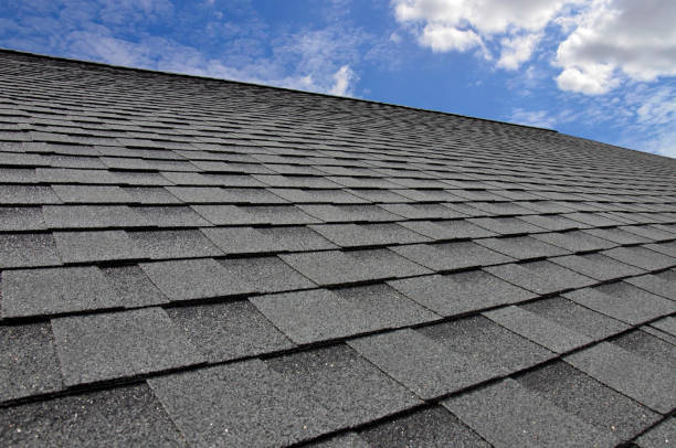 Best Steel Roofing  in Clermont, FL